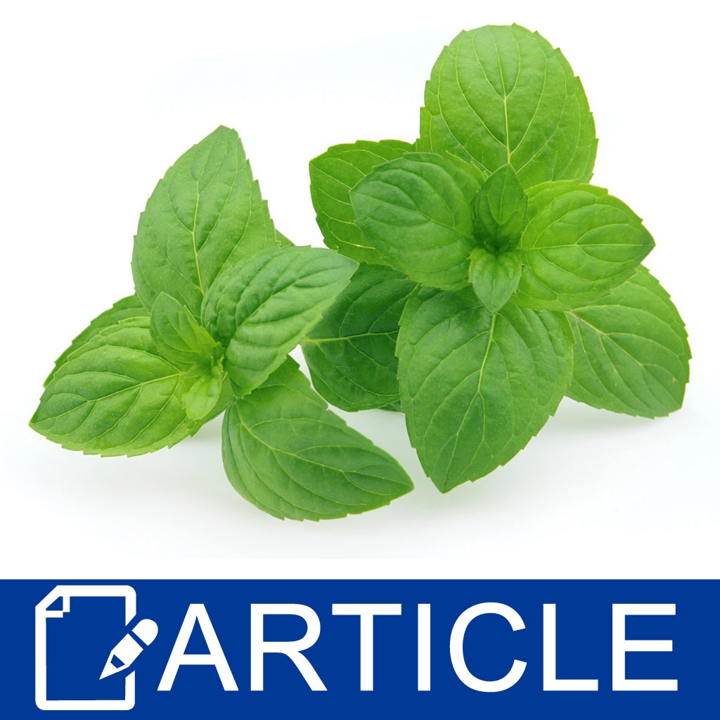 Put Some Pep in Your Step With Mint