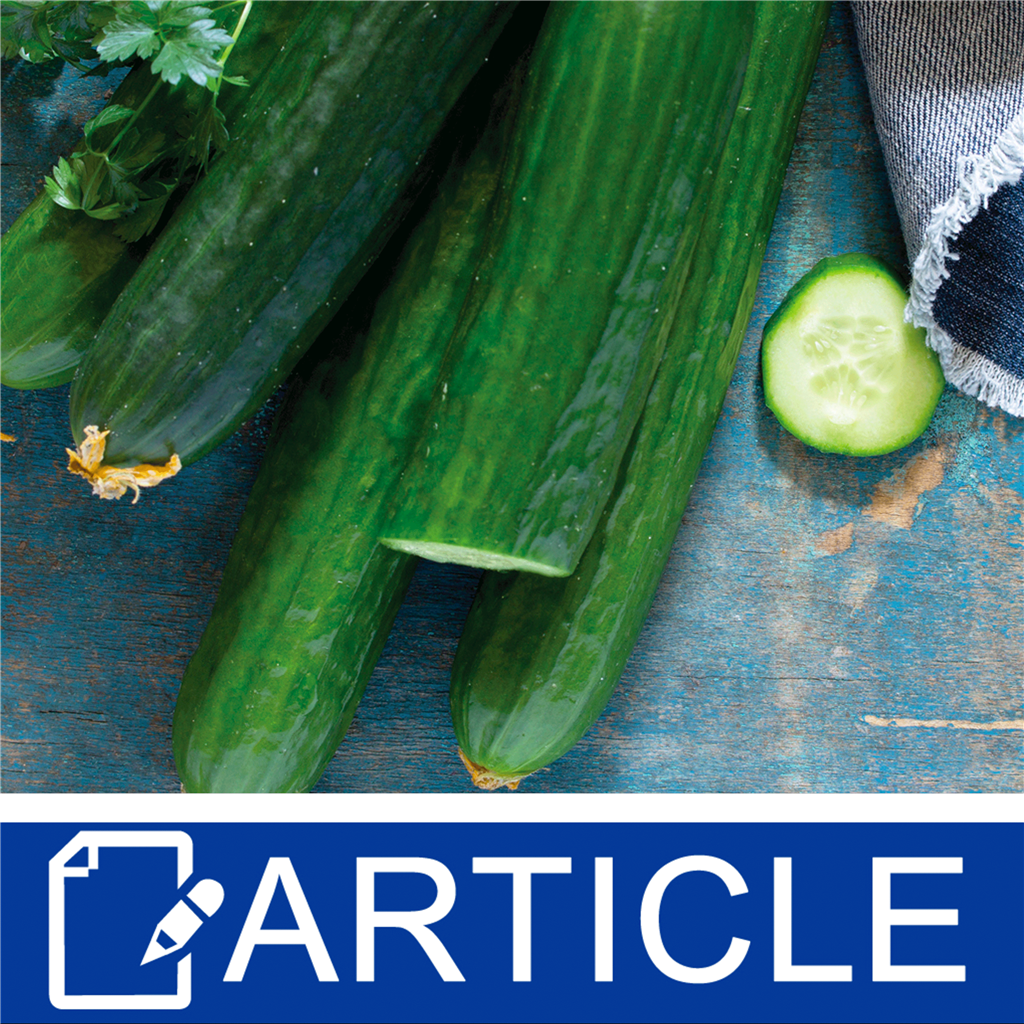 Cucumber For Skincare