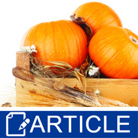 Formulating The Pumpkin Patch