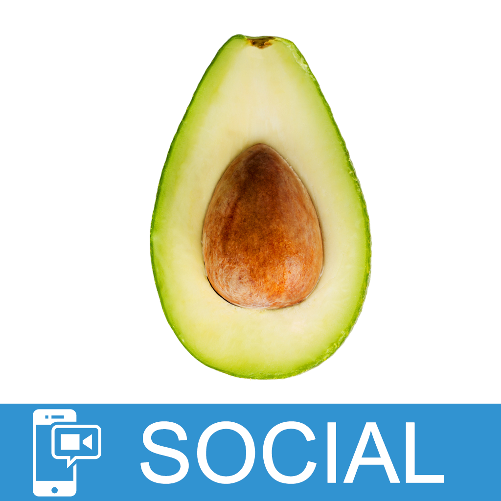 Trend Alert: All About Avocado