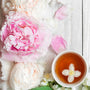 Mad About You Fragrance Oil 387