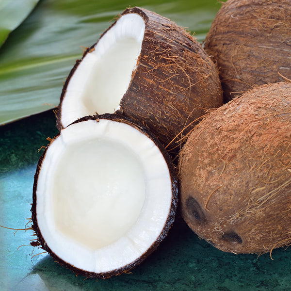 Cool Coconut Fragrance Oil 607
