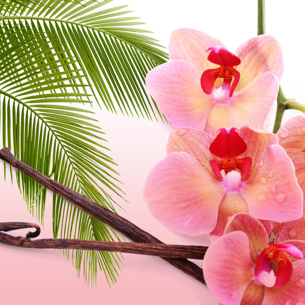 Madagascar Vanilla* Fragrance Oil 330