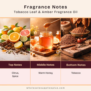 Tobacco Leaf & Amber Fragrance Oil 728 - close-up - Secondary Image
