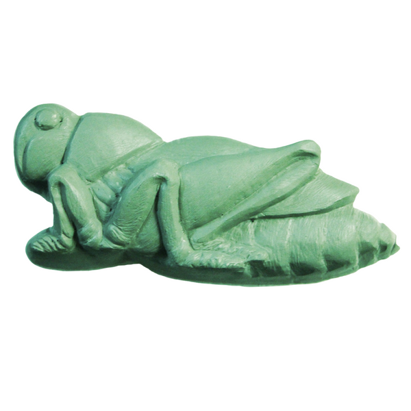 Cricket Soap Mold - Zoom Media 1