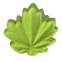 One Leaf Soap Mold (MW 412)