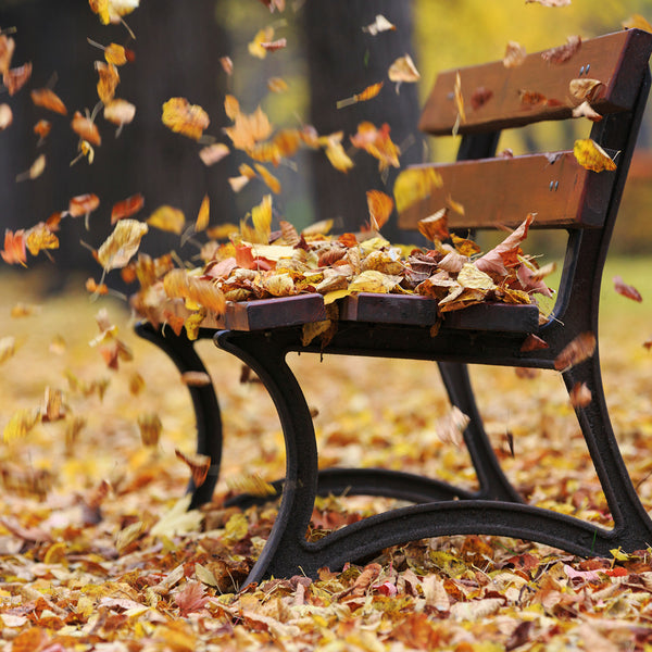 Fall Breeze Fragrance Oil 898 - Zoom Media 1