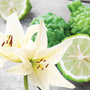 Bergamot & Lily - Natural Fragrance Oil (SO) - Zoom Thumbnail Media 1