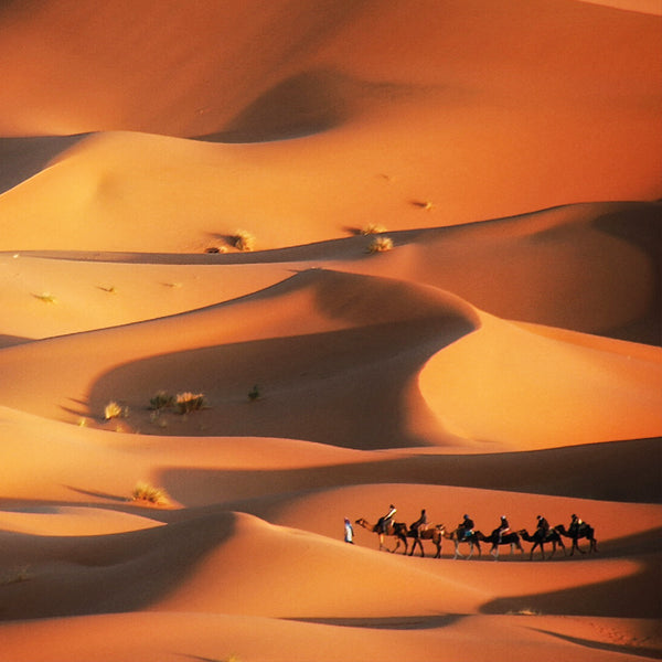 Sahara Spice Fragrance Oil