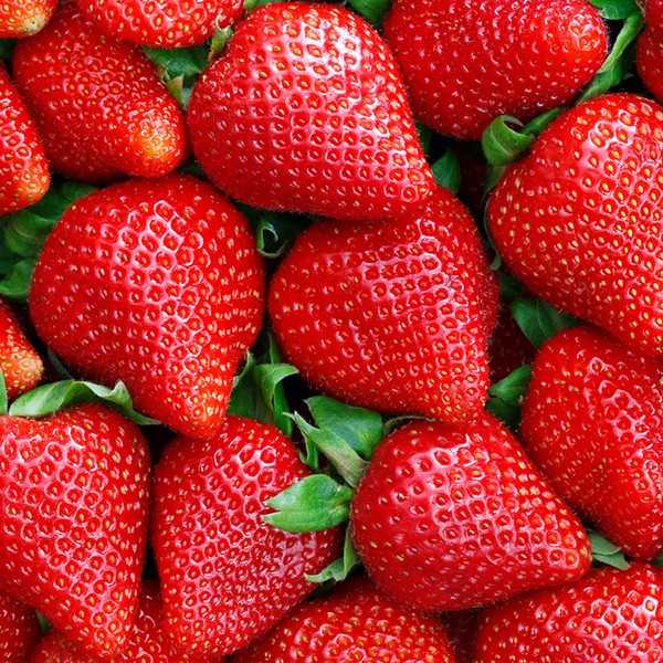 Strawberry Fragrance Oil - FF# 31 - 11878