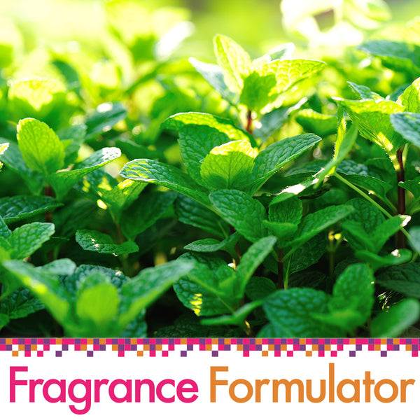 Mint Fragrance Oil - FF# 41 (Special Order)