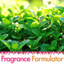 Mint Fragrance Oil - FF# 41 (Special Order)