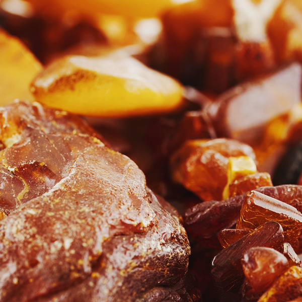 Amber Fragrance Oil - FF# 48 - 11894