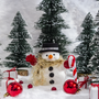 Snowman Poop Fragrance Oil (Special Order)