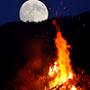 Harvest Moon Fragrance Oil