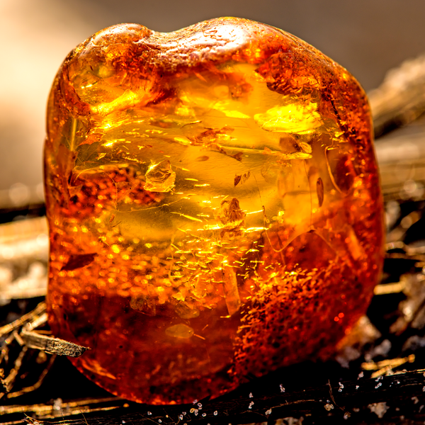 Amberwood Fragrance Oil - Zoom Media 1