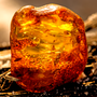 Amberwood Fragrance Oil - Zoom Thumbnail Media 1