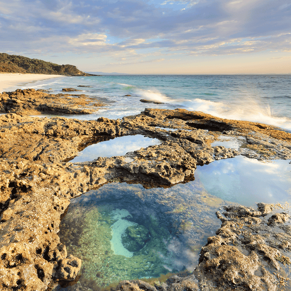 Blue Mist Fragrance Oil 534