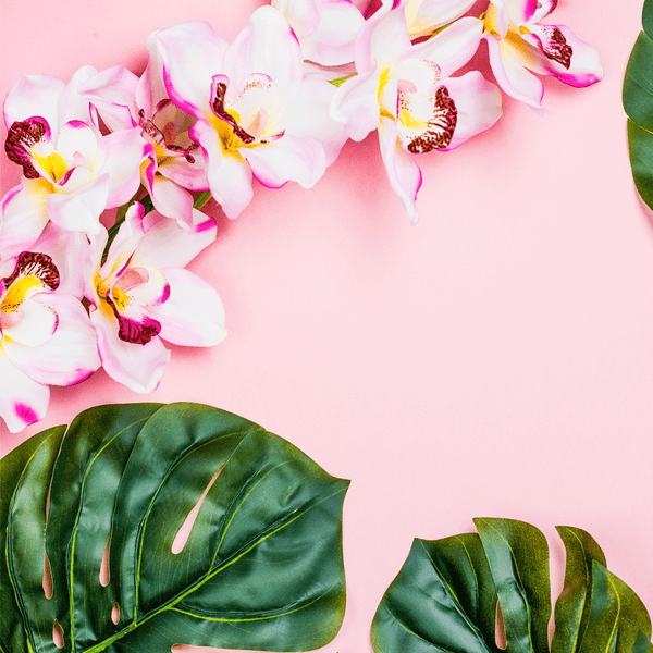 Aloha Orchid* Fragrance Oil 1080