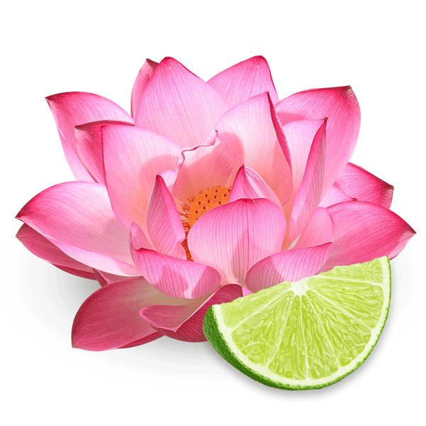Pink Lotus & Lime Fragrance Oil
