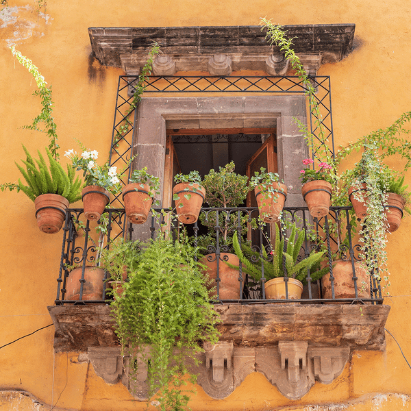 Tumbleweed & Terracotta Fragrance Oil - Zoom Media 1