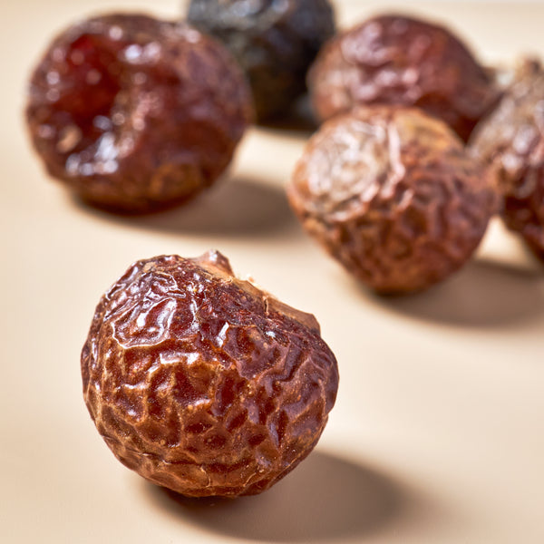 Soap Nuts