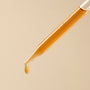 Rose Hip Extract - Water Soluble - close-up