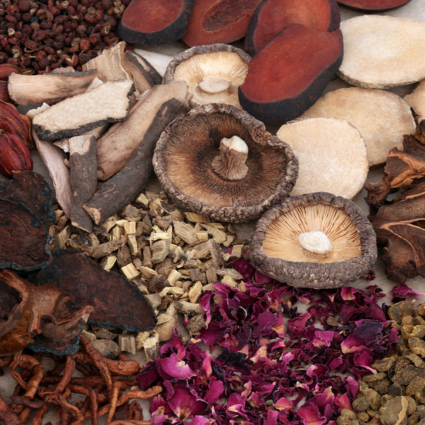 Rose Hips & Reishi Fragrance Oil - Zoom Media 1