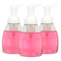 Foaming Peppermint Hand Soap Kit