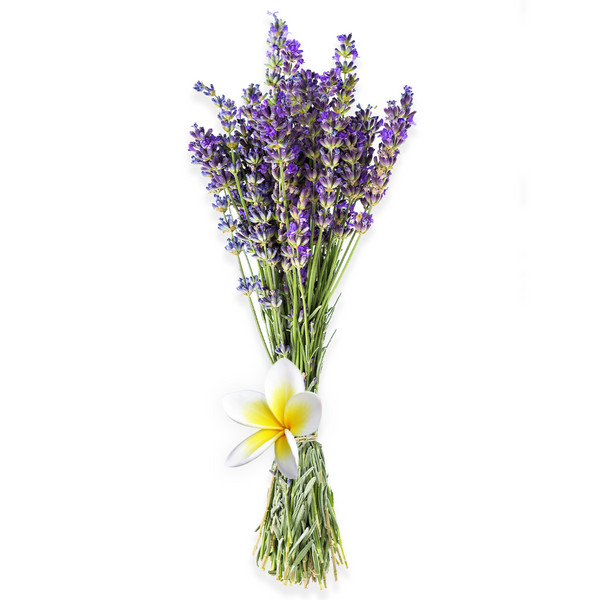 Lavender & Plumeria - Natural Fragrance Oil
