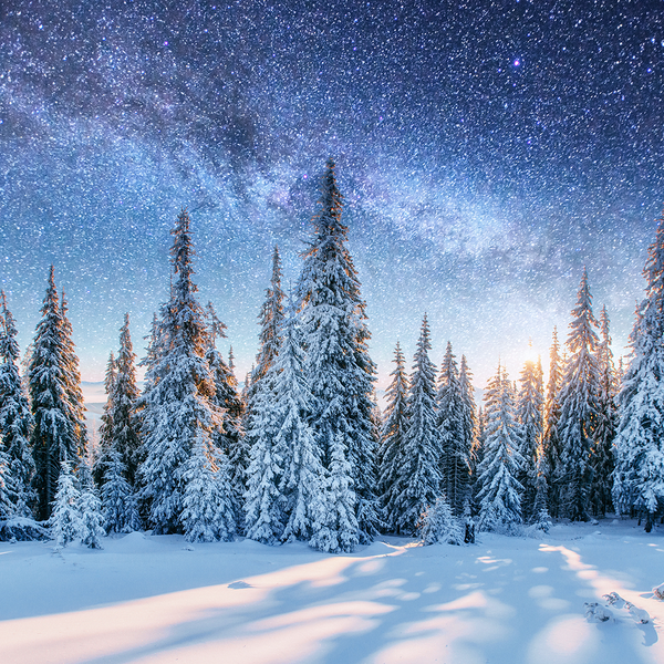Sparkling Winter Solstice Fragrance Oil 1030