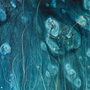 Blue Green Algae & Eucalyptus Fragrance Oil