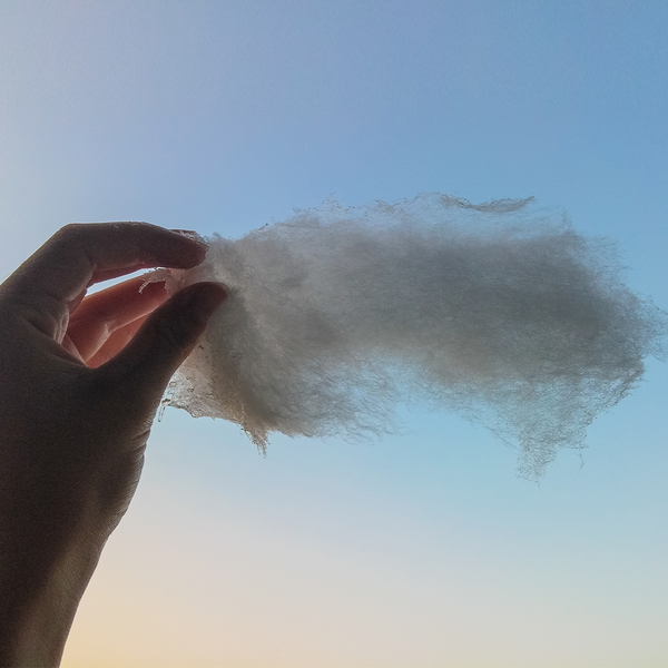 Cashmere Clouds Fragrance Oil 265