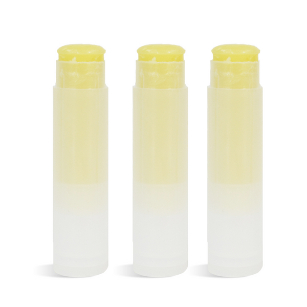 Hemp Butter Lip Balm Kit - Zoom Media 1