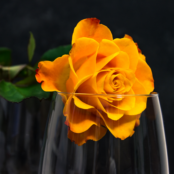 Rose & Musk Fragrance Oil 961