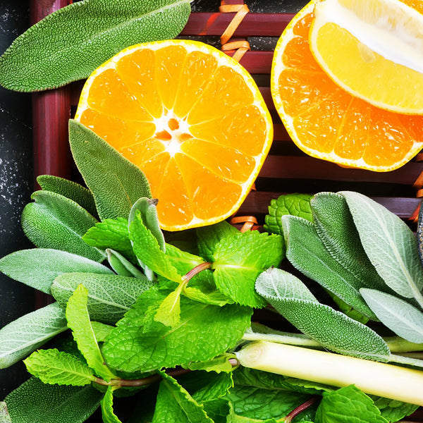 Sage & Citrus* Fragrance Oil 445