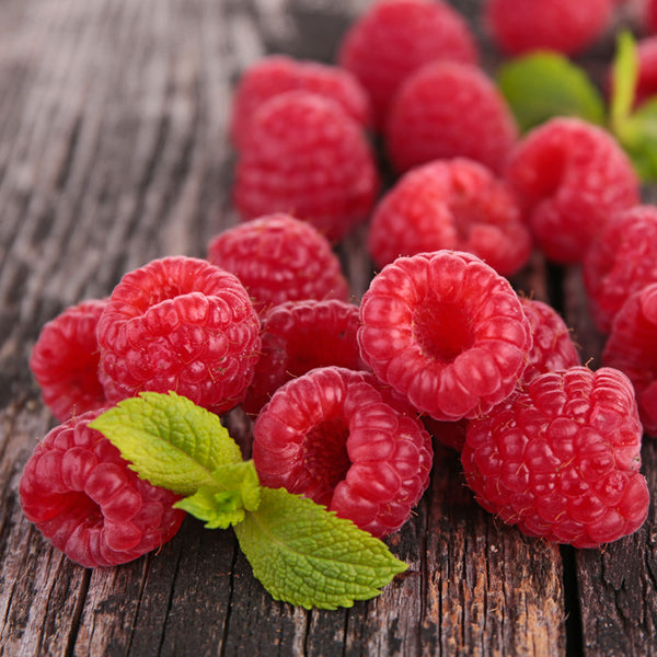 Raspberry Blitz Fragrance Oil