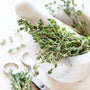Lemongrass Mint - EO & FO Blend 379