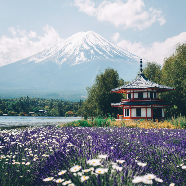 Japan Fragrance Oil 944