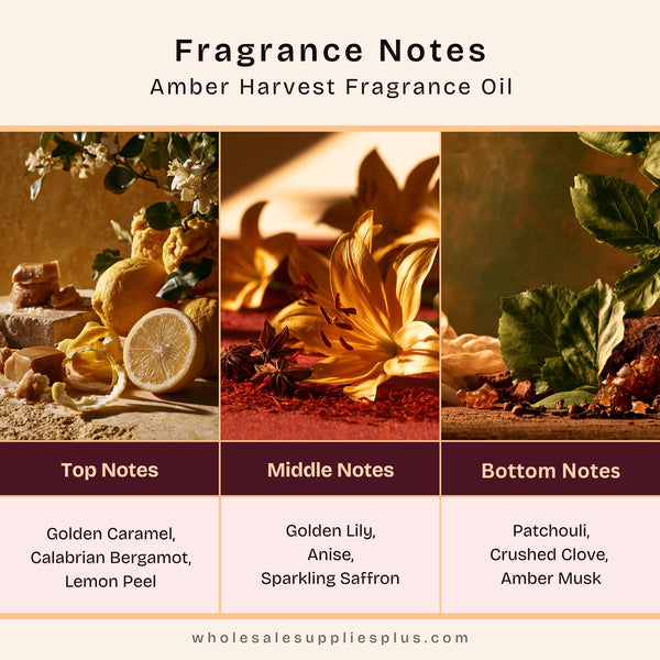 Amber Harvest Fragrance Oil 575 - Zoom Media 2