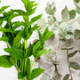 Eucalyptus & Spearmint* Fragrance Oil 101