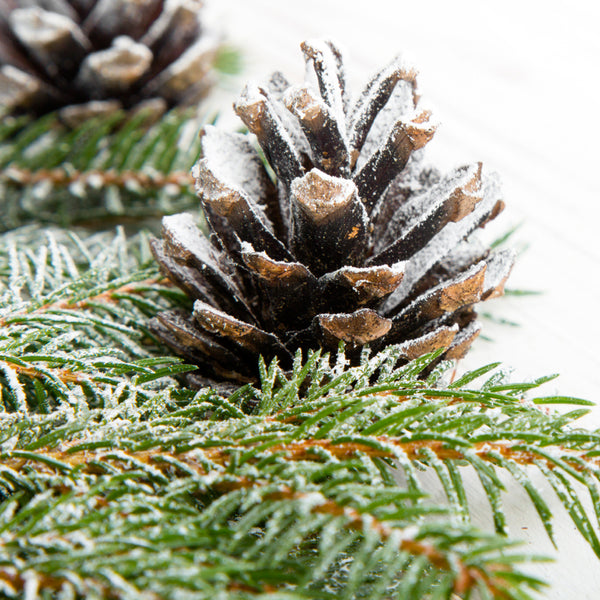 Sugared Spruce - EO & FO Blend 412