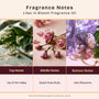 Lilac in Bloom Fragrance Oil 87 - Zoom Thumbnail Media 2
