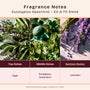 Eucalyptus Spearmint - EO & FO Blend 608 - Zoom Thumbnail Media 2