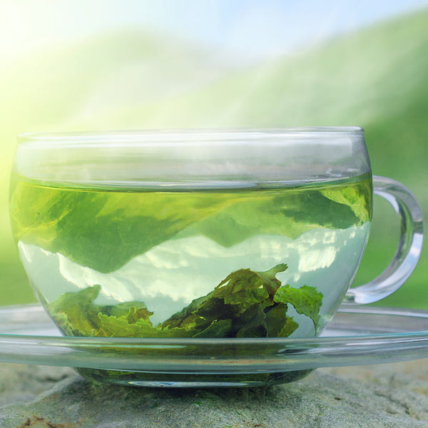 Green Tea & Cucumber - EO & FO Blend 466
