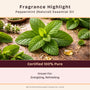 Peppermint (Natural) Essential Oil - 100% Pure 712