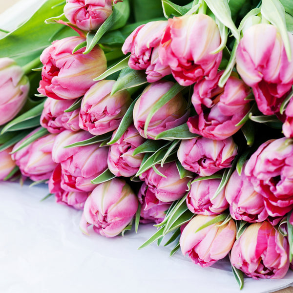 Blooming Tulips Fragrance Oil 390 - Zoom Media 1