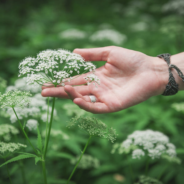 Flowering Herb* - EO & FO Blend 147