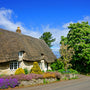 Cottage Breeze Fragrance Oil - Zoom Thumbnail Media 1
