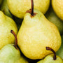 Sweet Juicy Pear Fragrance Oil 231